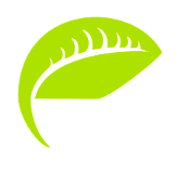 Zrzut ekranu 2020-06-12 o 14.31.52.png