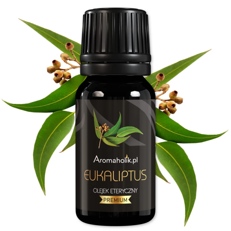 miniaturka_eukaliptus.jpg