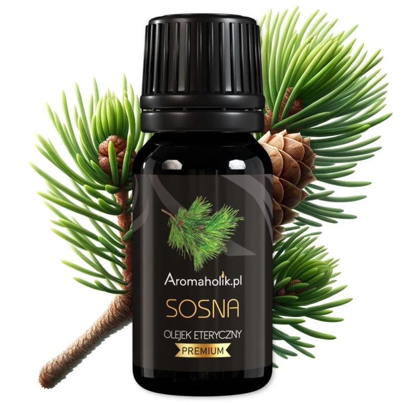 miniaturka_sonsa (1).jpg