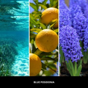 blue-posidonia-paleczki-zapachowe-100-ml-millefiori-milano-2.jpg