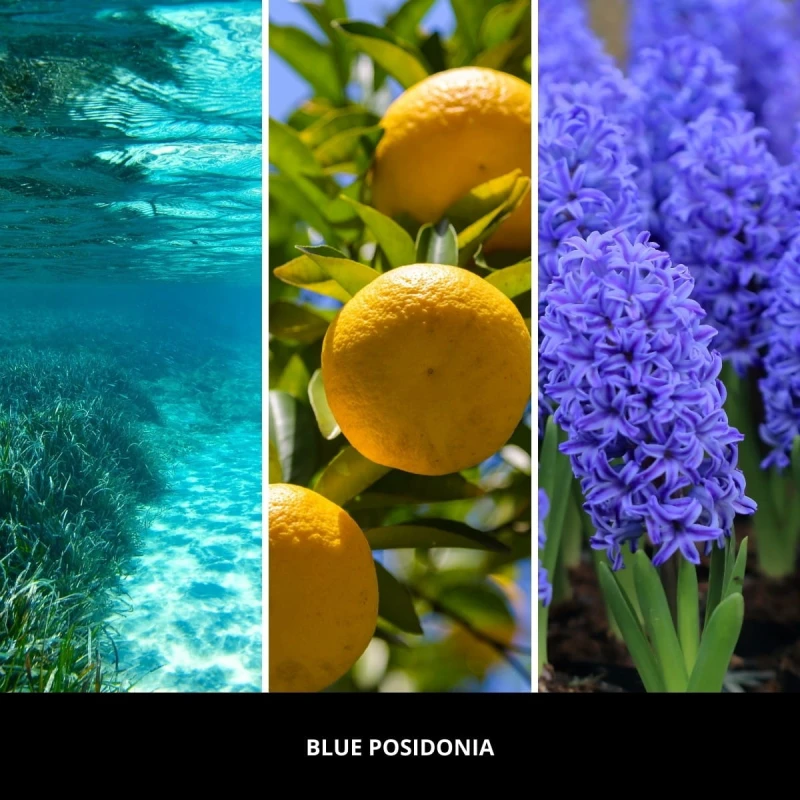 blue-posidonia-paleczki-zapachowe-100-ml-millefiori-milano-2.jpg