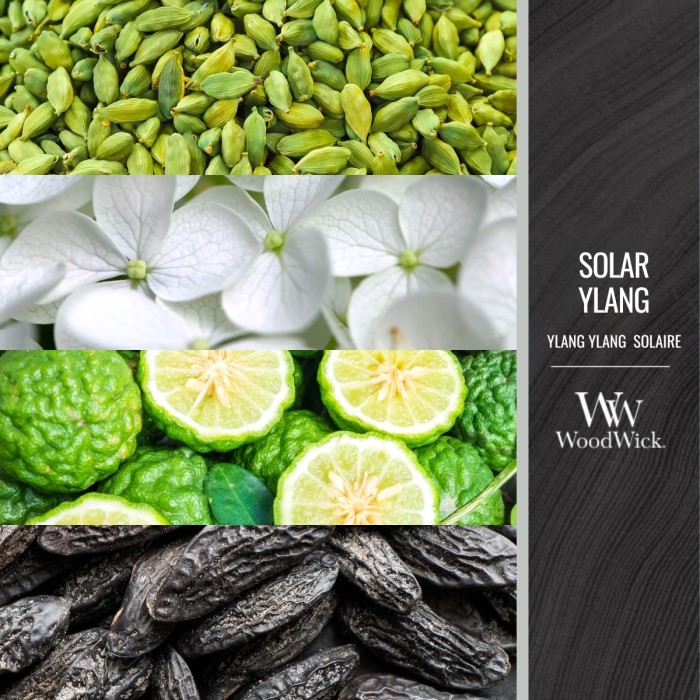 solar-ylang-swieca-srednia-2.jpg