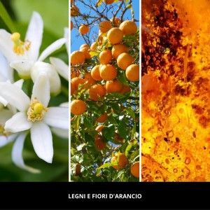 legni-e-fiori-d-arancio-paleczki-zapachowe-100-ml-millefiori-milano-2.jpg