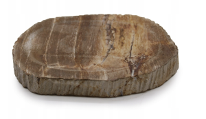 Zrzut ekranu 2026-03-10 o 17.12.31.png