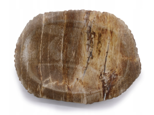 Zrzut ekranu 2026-03-10 o 17.12.35.png